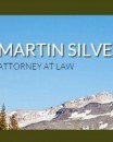Martin Silver